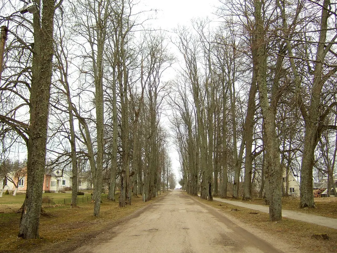Cirkliškis manor