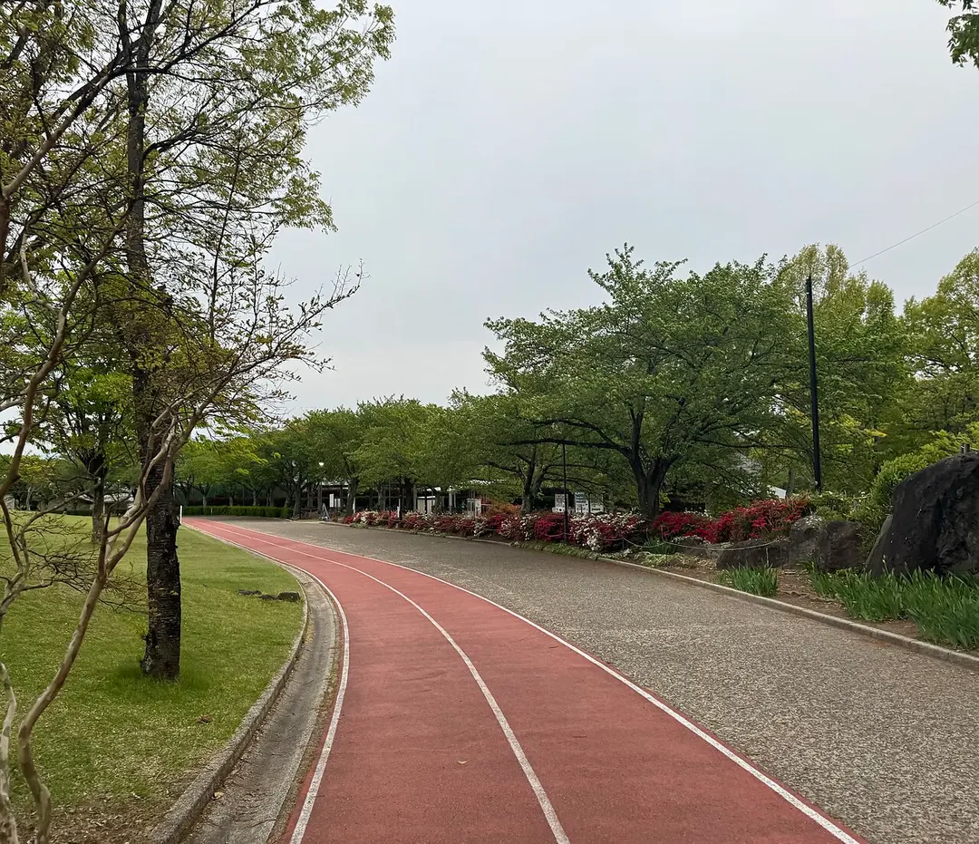 Tōmi Tyūō Park