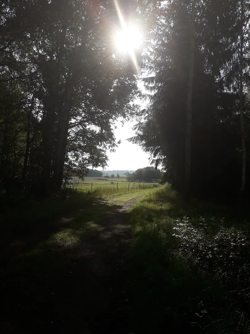 Öknaskogens naturreservat