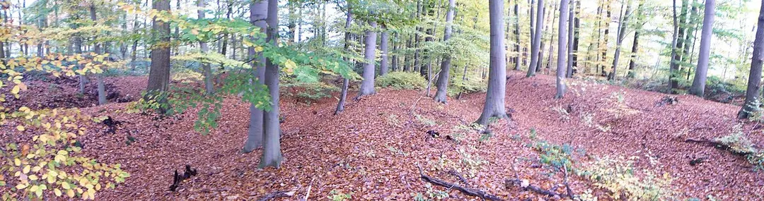 Lüneburger Landwehr