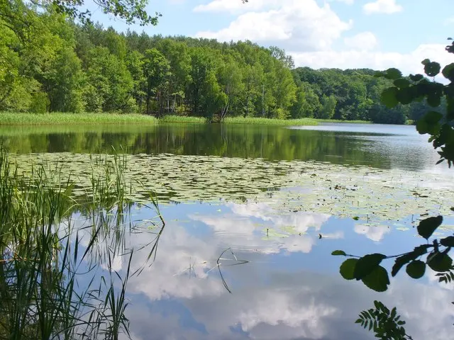 Gemeindeverwaltung Seddiner See