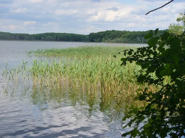Gemeindeverwaltung Seddiner See