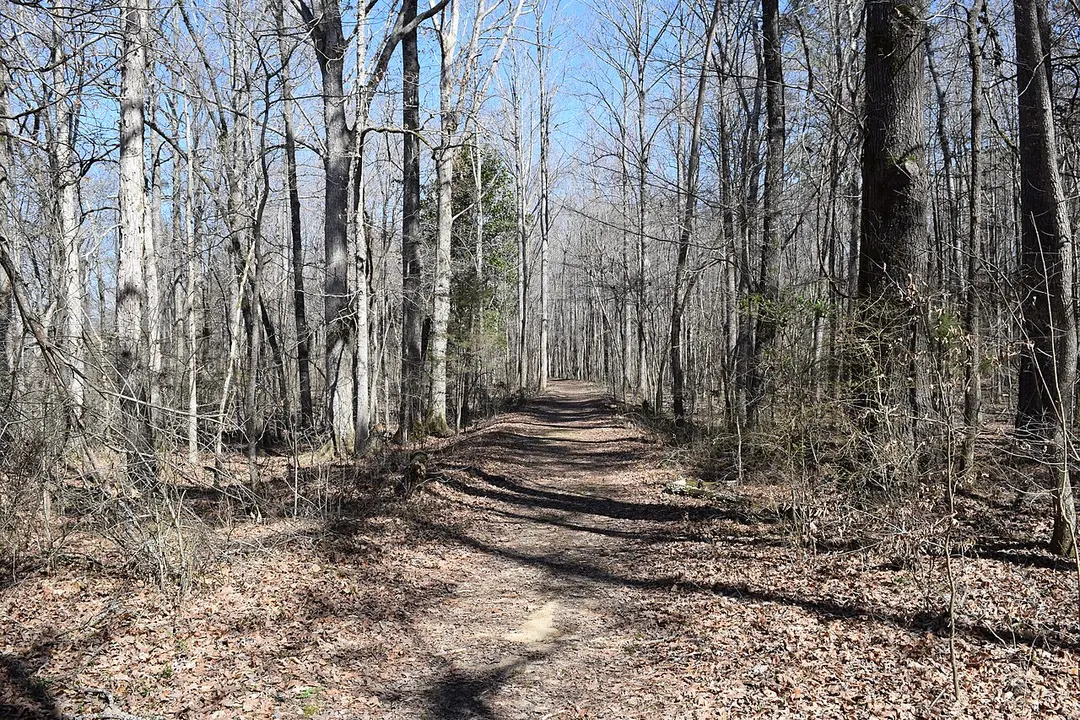 Wall Doxey State Park