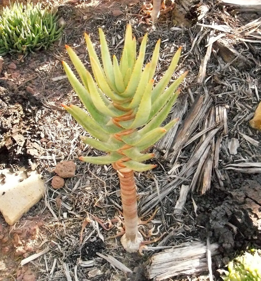 Botanischer Garten