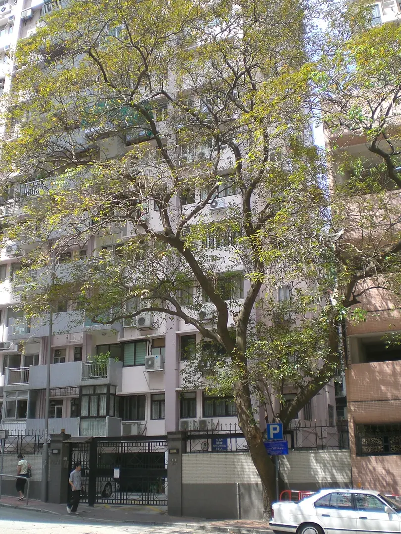 Shan Kwong Road