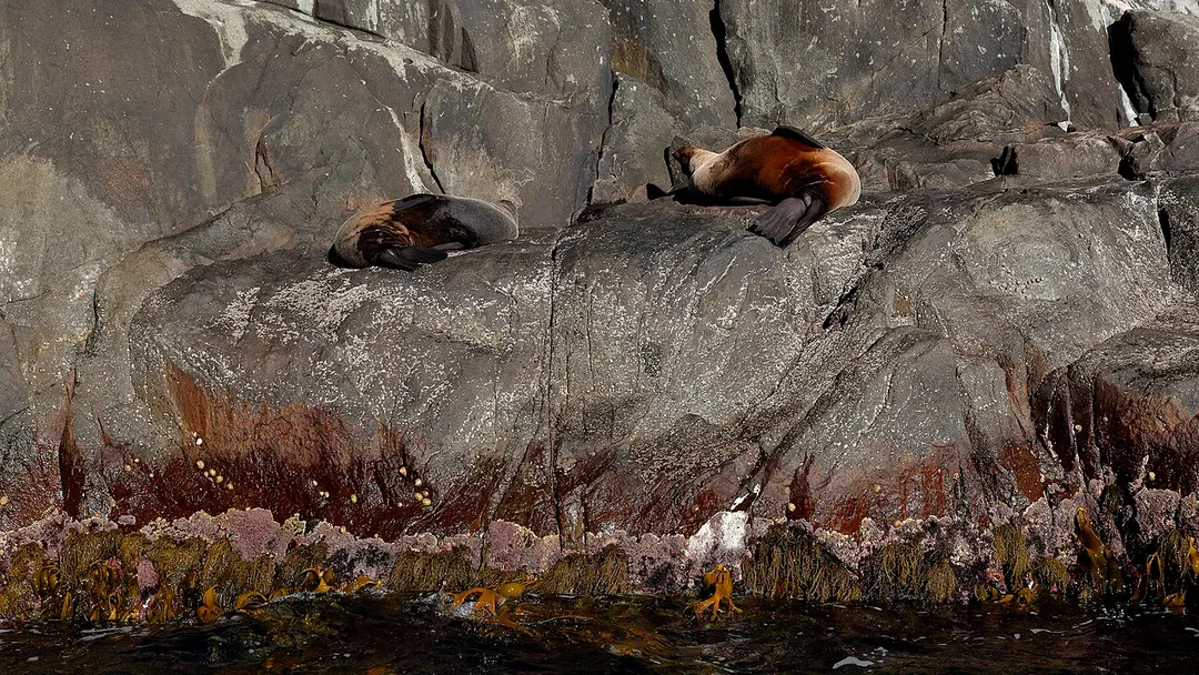 Tasman National Park