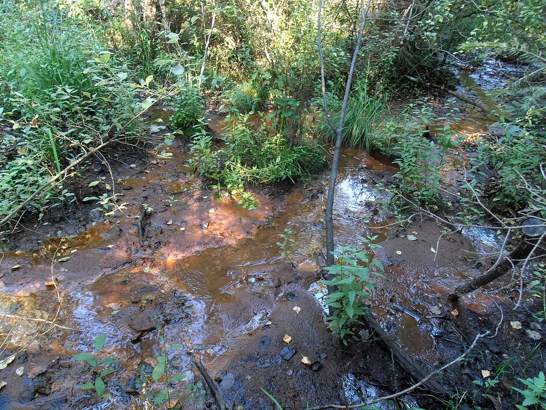 Mordgrundbach