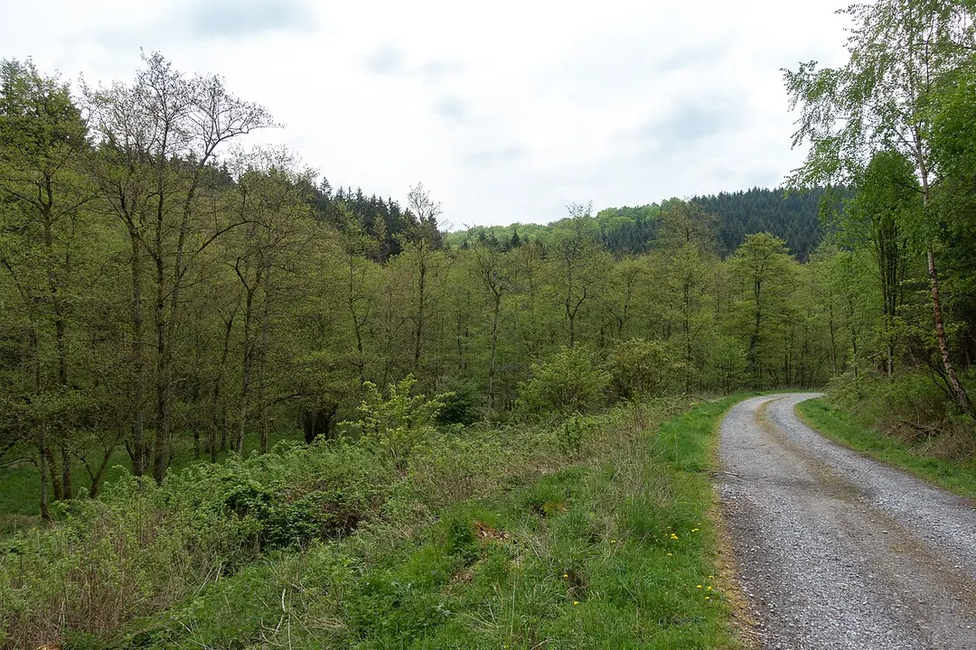 Klingelbachtal