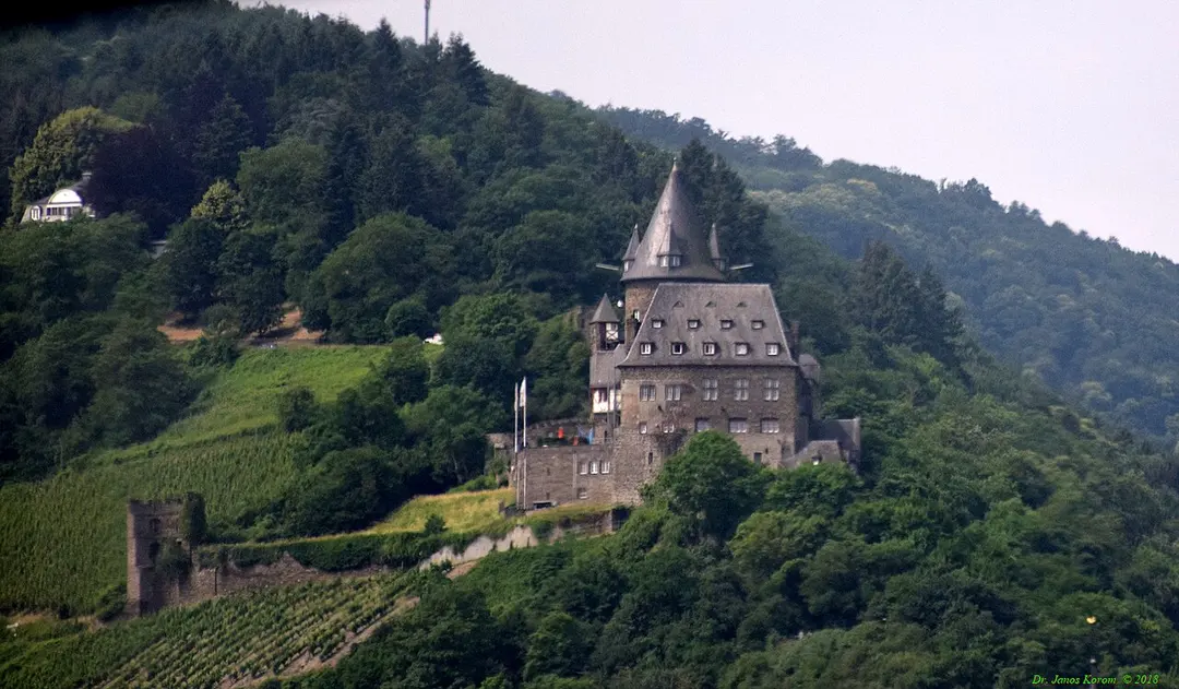 Stahleck Castle