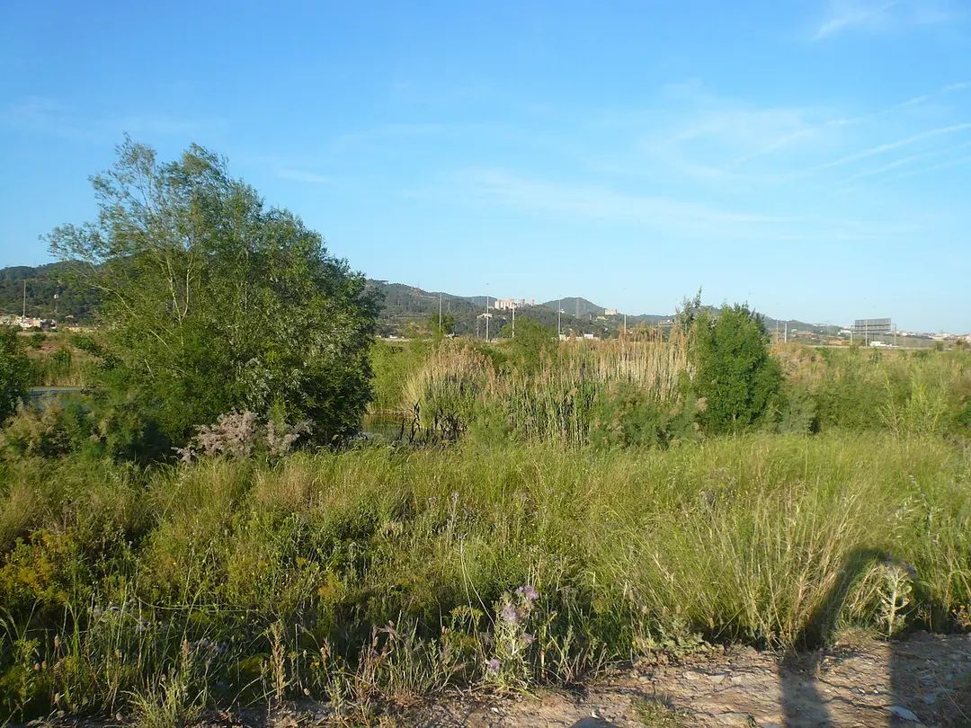 Puig d'Olorda