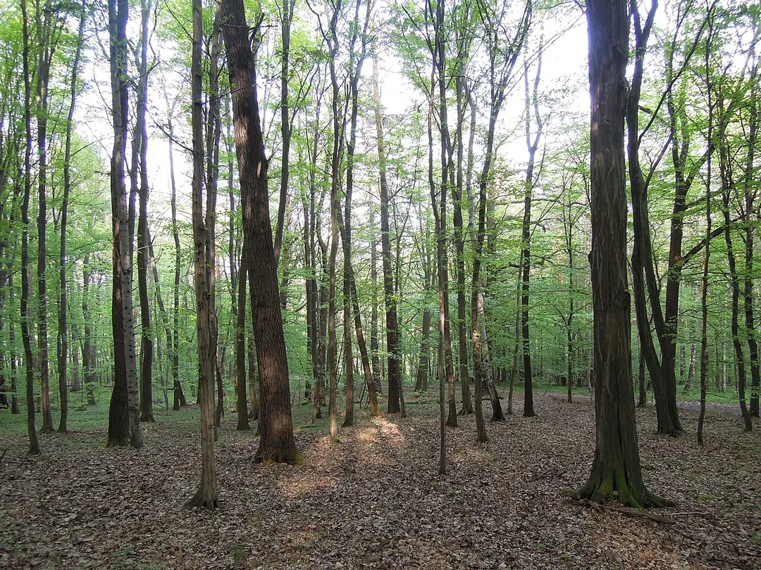 PR Doubek