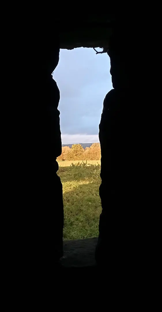 Cantwell's Castle (ruins)