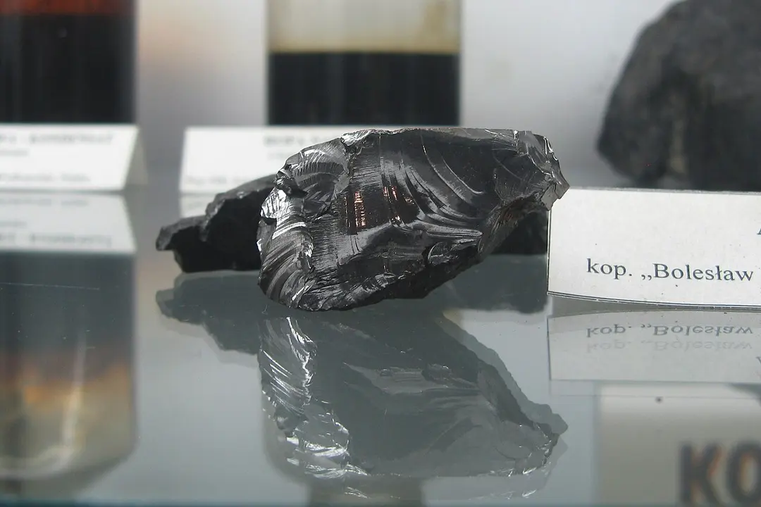 Muzeum Geologiczne