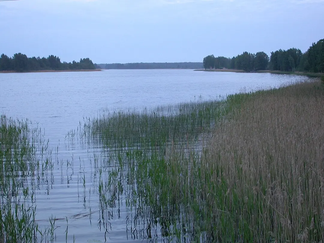 Sasmakas ezers