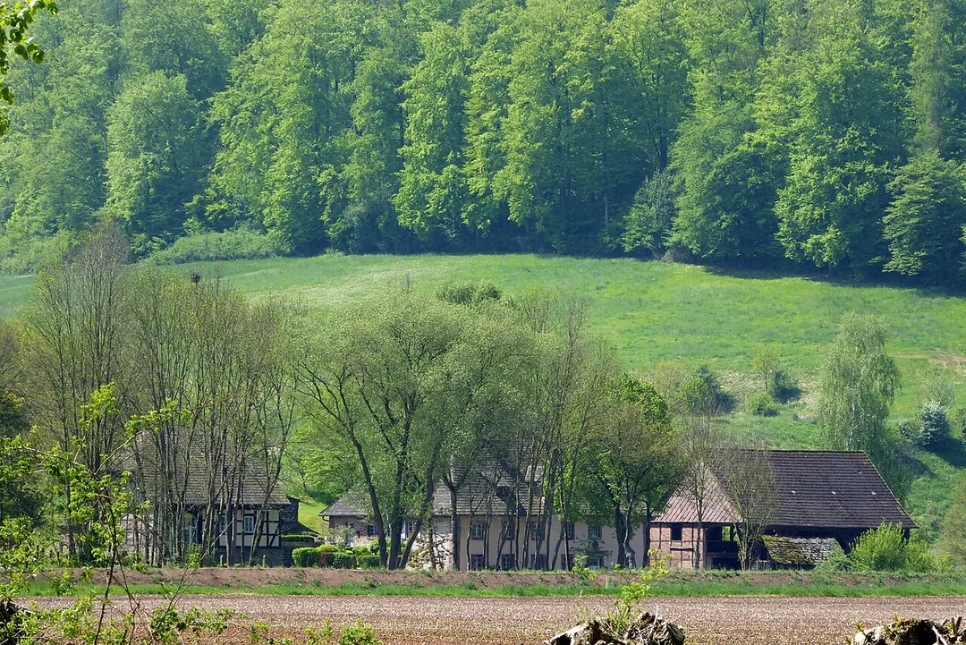 Duhnemühle