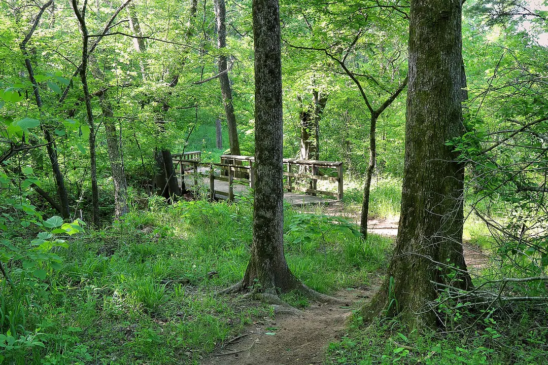 Tyler State Park