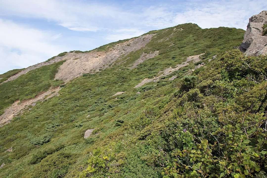 不忘山