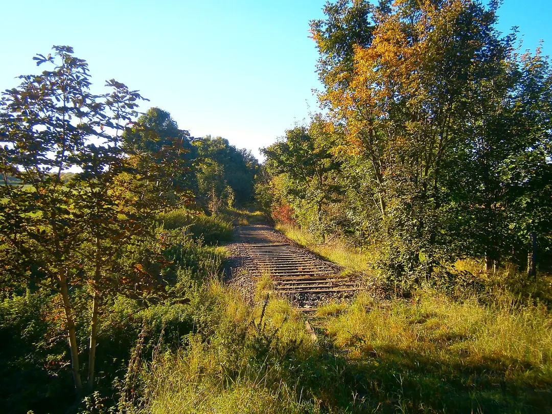 Bahnstrecke Frose–Quedlinburg