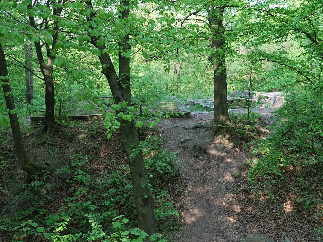 Burg Dischingen