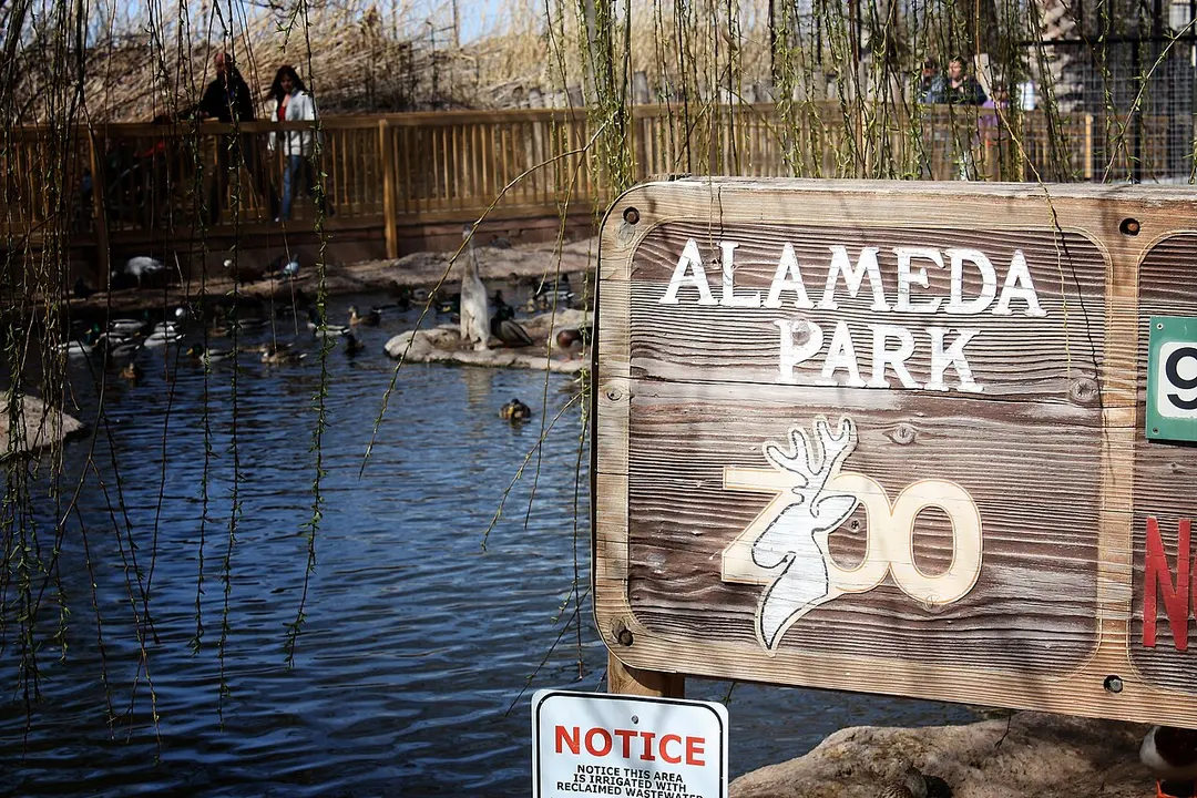 Alameda Park Zoo