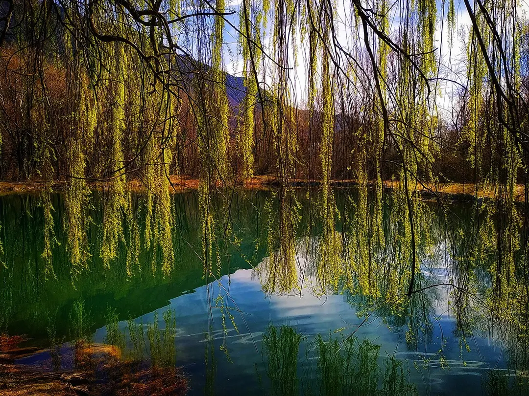 Biotop Falschauer