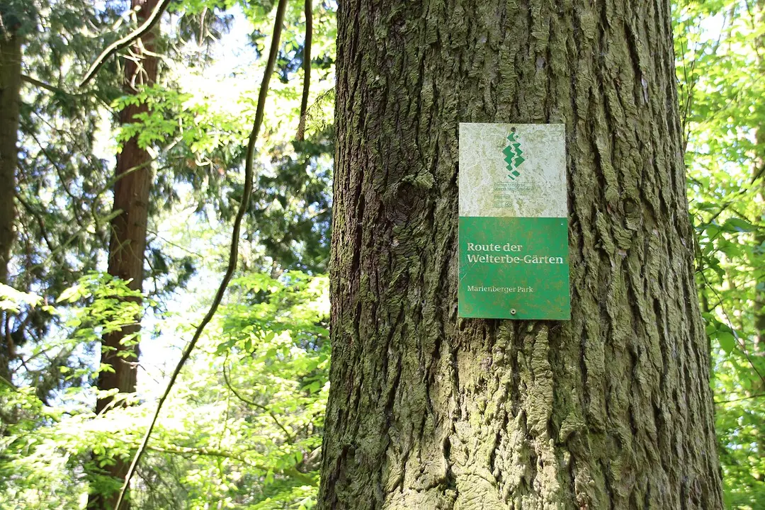 Marienberger Park