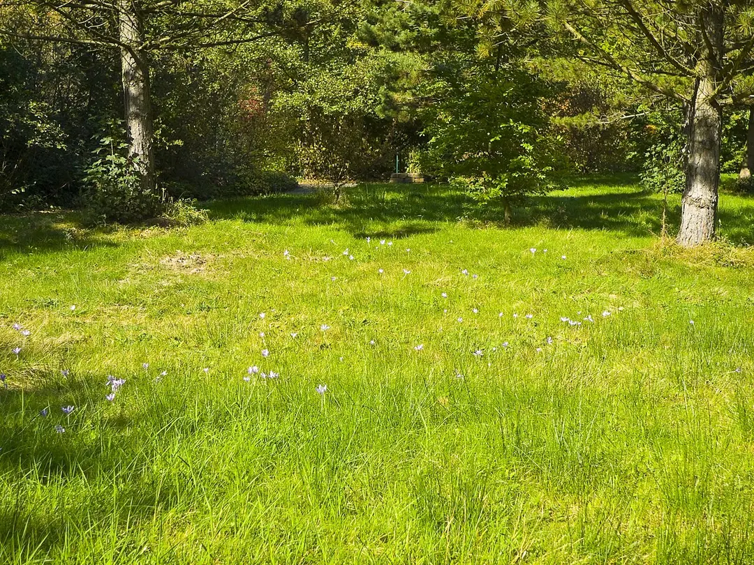 Botanischer Garten