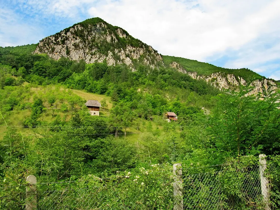 Beli Rzav