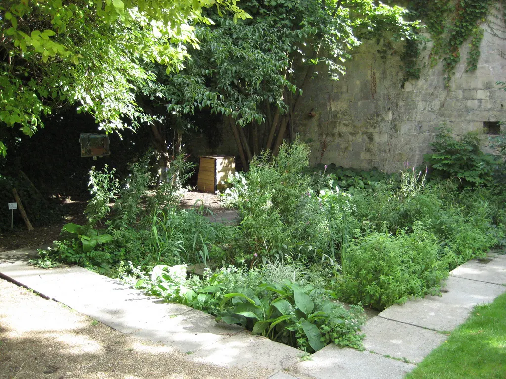Musée d'initiation à la Nature