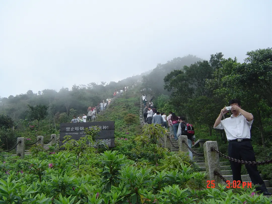 梧桐山