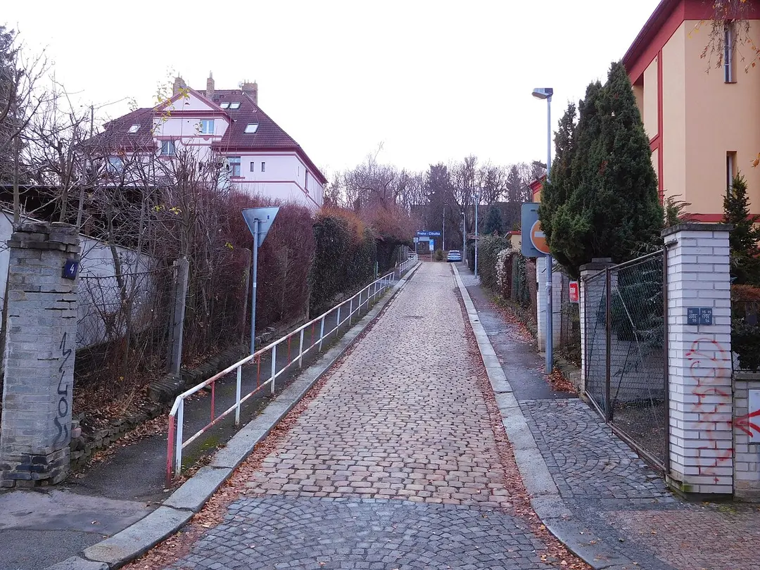 Prag-Zwiebel