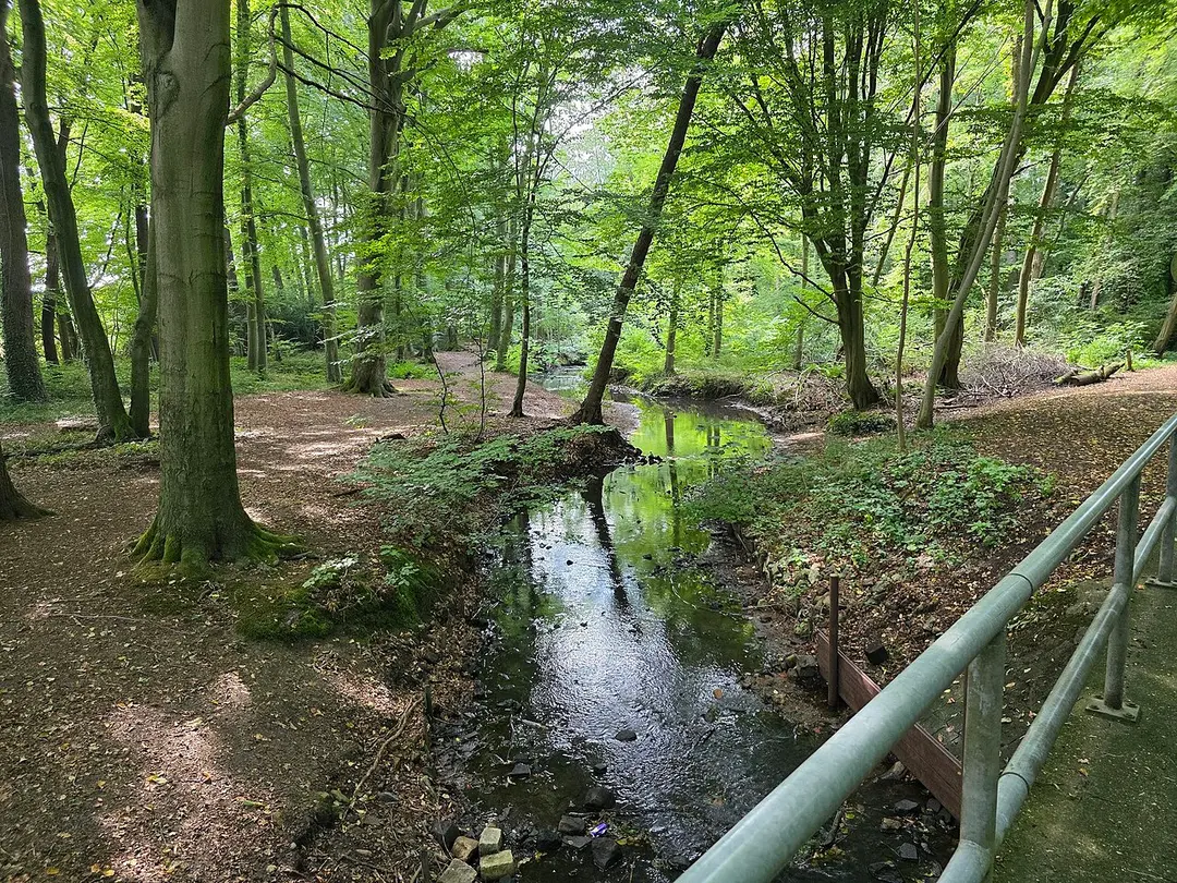 Schönebecker Aue