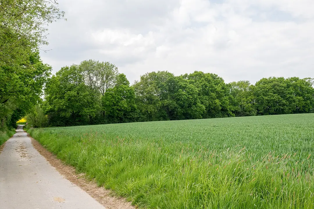 Grutt- und Sunderbach