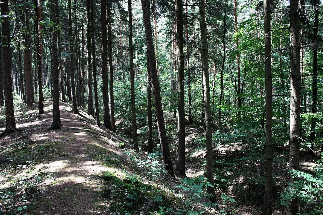 Viereckschanze Ludéřov