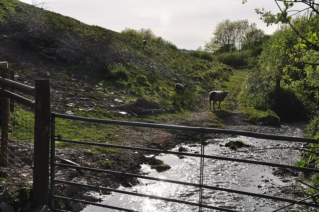 Washford River