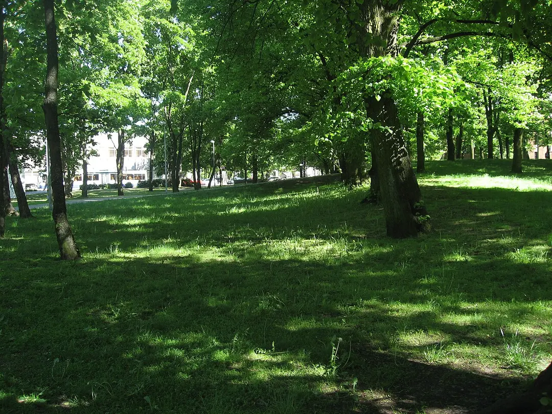 Old Jewish cemetery