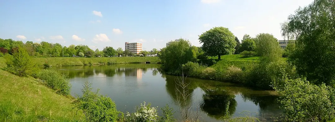 Freseteich