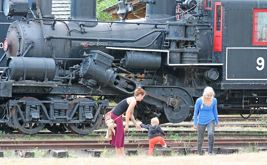 Railway & Forestry Museum