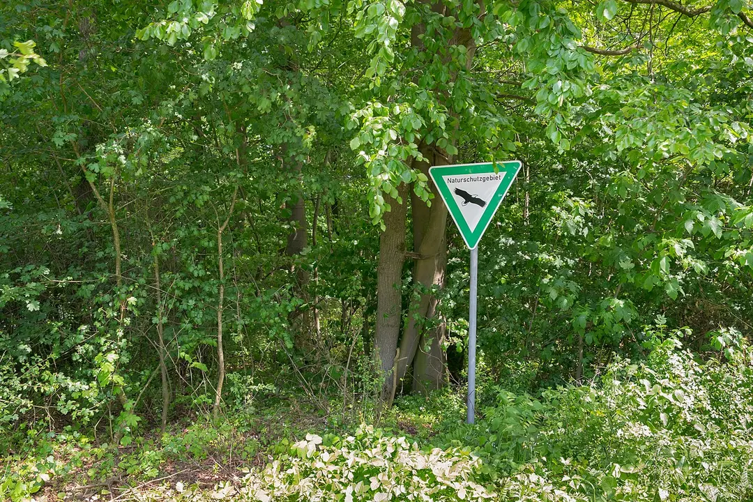 Königsblick