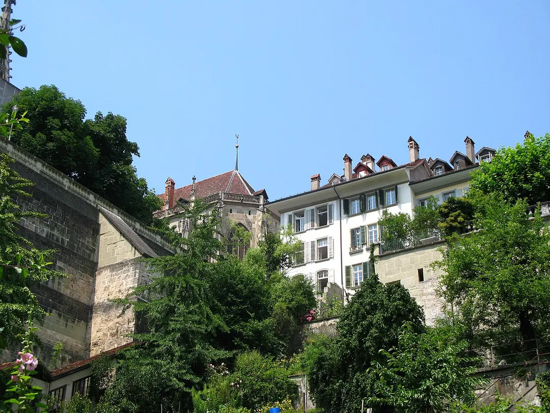 Münsterplattform