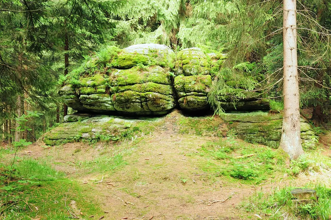 Aschberg