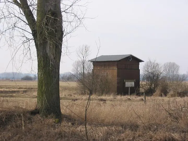 Belziger Landschaftswiesen