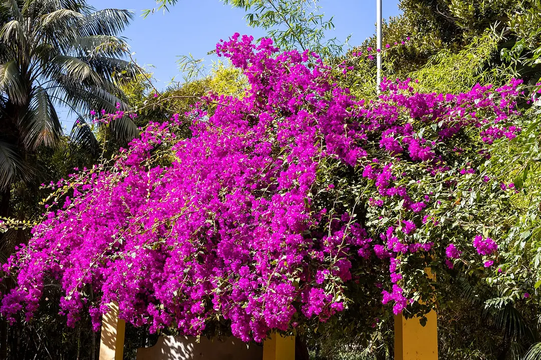 Parque García Sanabria