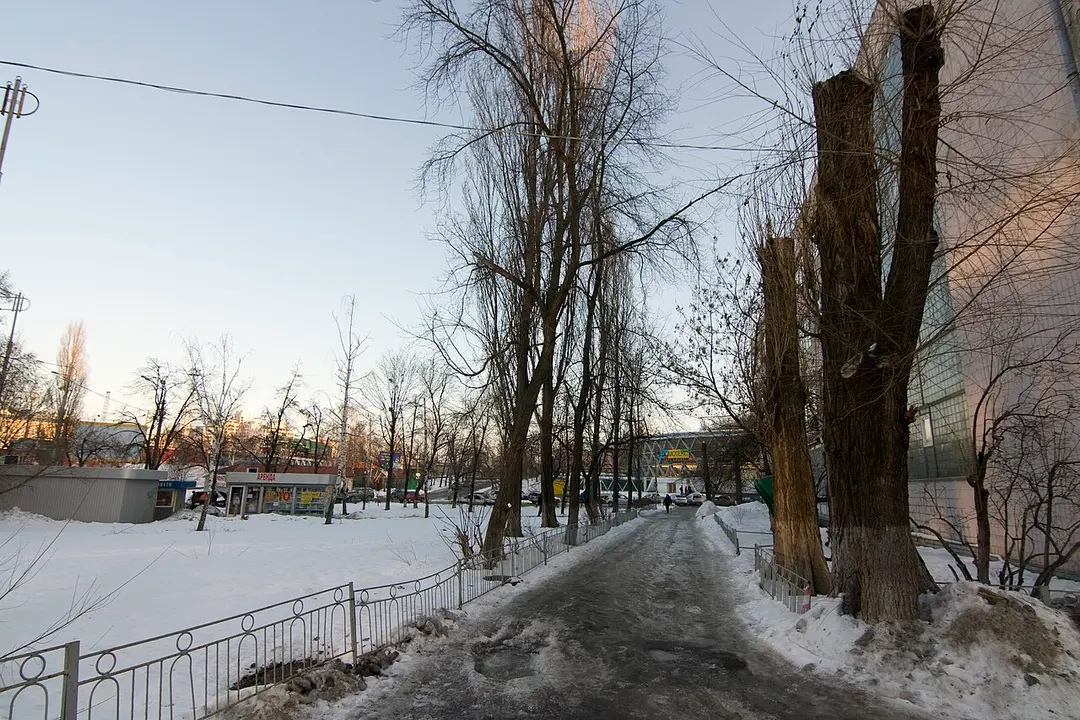 Petra Kryvonosa Square