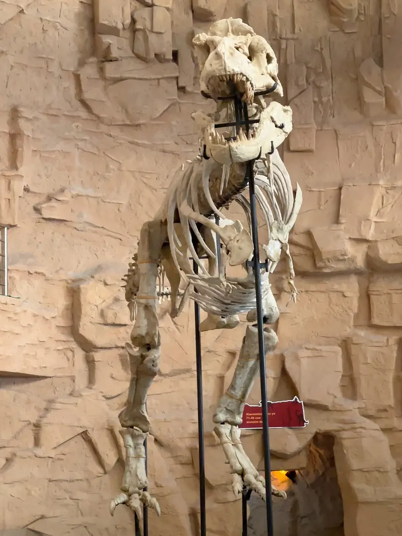 Gobi Museum of Nature and History