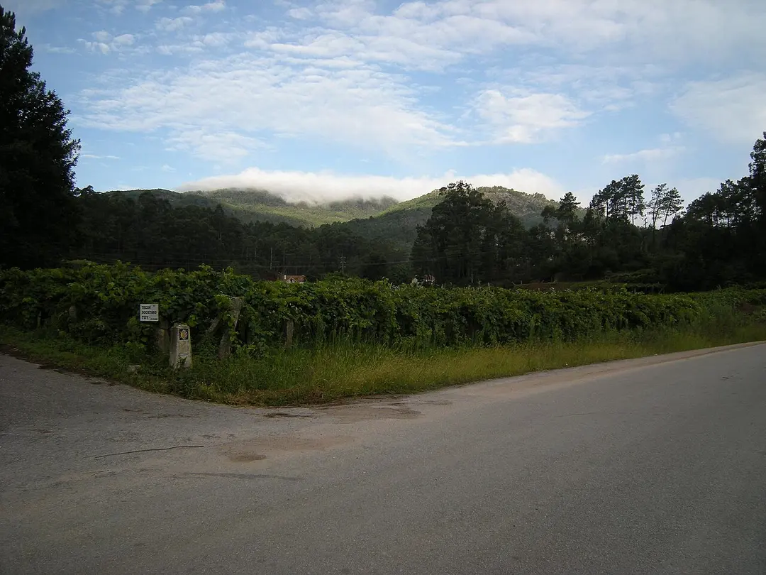 Aloia Mountain