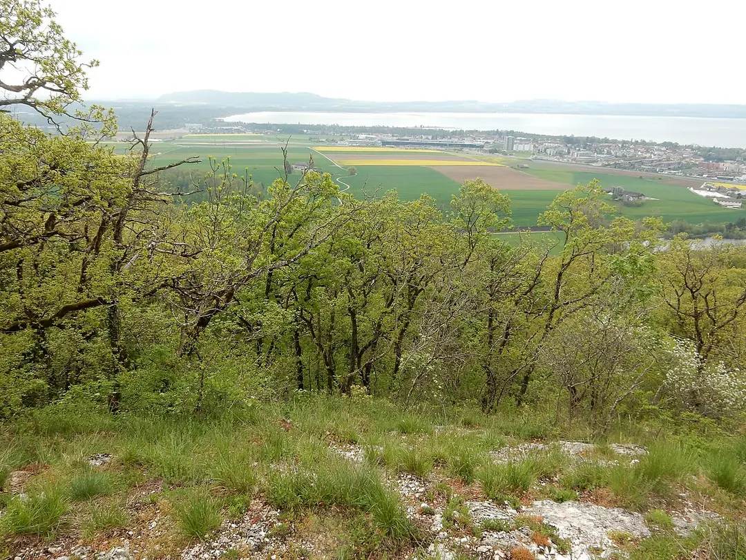 Roches de Châtollion