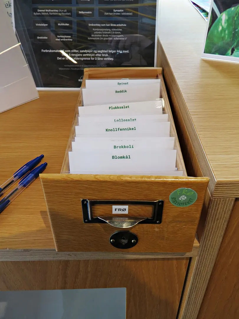 Trondheim folkebibliotek, Moholt