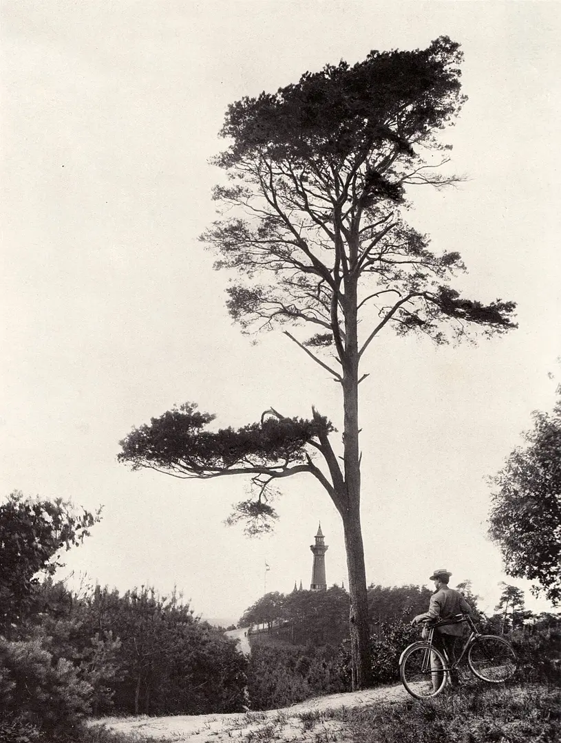 Müggelturm