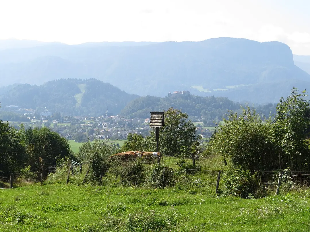 Burg Bled